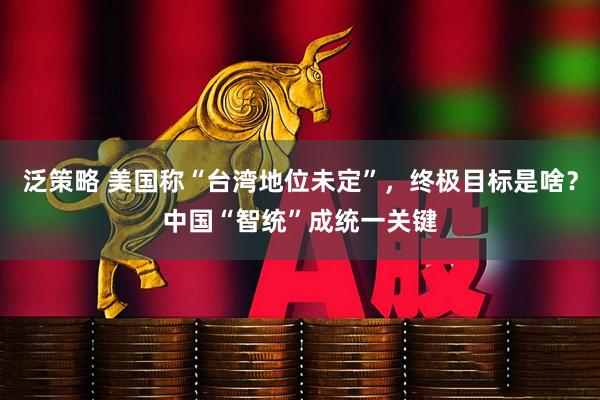 泛策略 美国称“台湾地位未定”，终极目标是啥？中国“智统”成统一关键