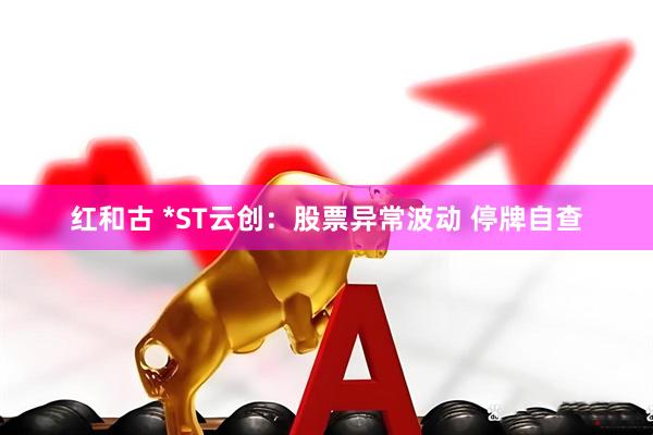 红和古 *ST云创：股票异常波动 停牌自查