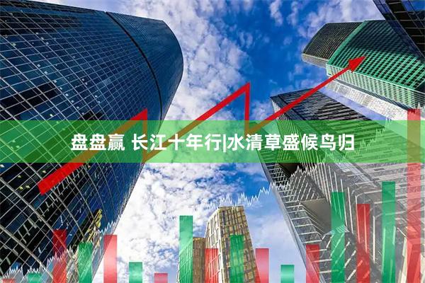 盘盘赢 长江十年行|水清草盛候鸟归